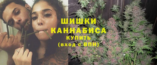 винт Бородино