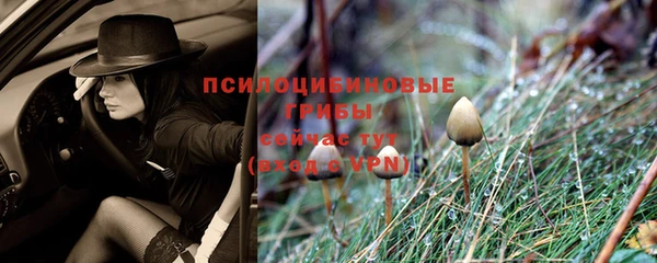 бошки Верхнеуральск