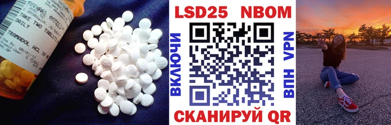 Лсд 25 экстази кислота Кирсанов