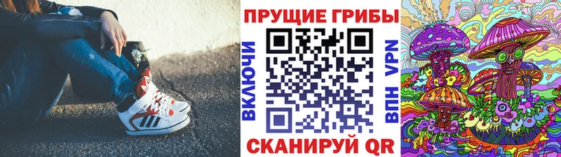 Псилоцибиновые грибы Cubensis  где найти наркотики  Кирсанов 