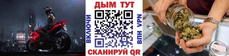 Канабис индика  продажа наркотиков  Кирсанов 